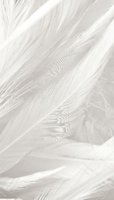 Estor decorativo de plumas