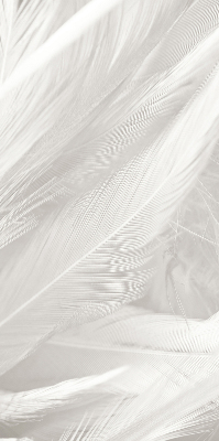 Estor decorativo de plumas