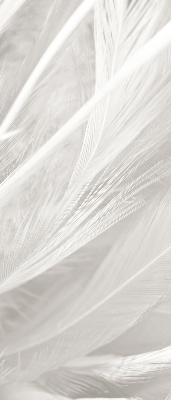 Estor decorativo de plumas