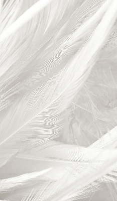 Estor decorativo de plumas