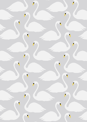 Estor opaco cisnes