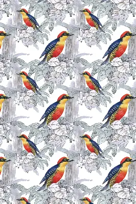 Estor enrollable de tela de pájaro colorido
