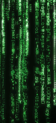 Estor decorativo de color verde con diseño de cifrados
