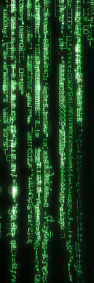 Estor decorativo de color verde con diseño de cifrados