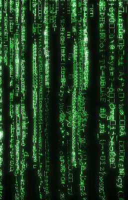 Estor decorativo de color verde con diseño de cifrados