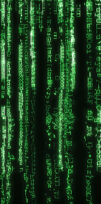 Estor decorativo de color verde con diseño de cifrados