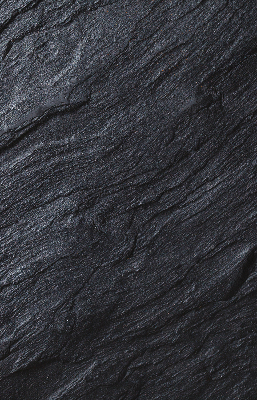 Estor enrollable de tela de textura negra