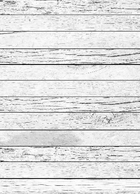 Estor opaco gris