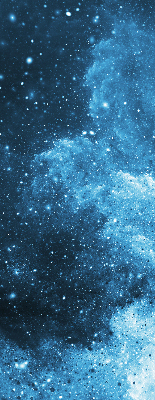 Estor opaco cosmos