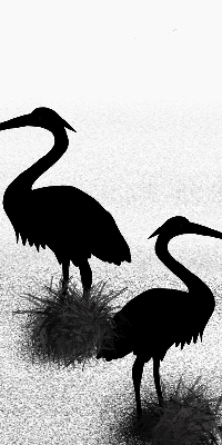 Estor opaco garzas