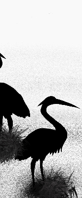 Estor opaco garzas