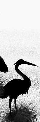 Estor opaco garzas