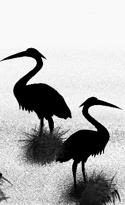 Estor opaco garzas
