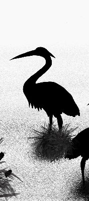 Estor opaco garzas
