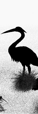 Estor opaco garzas