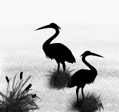 Estor opaco garzas