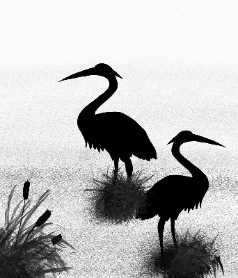Estor opaco garzas