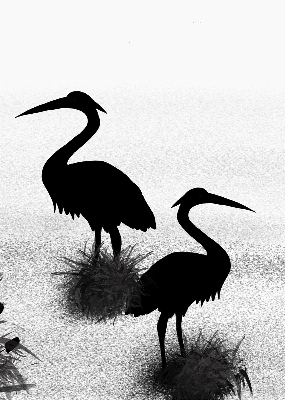 Estor opaco garzas
