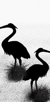 Estor opaco garzas