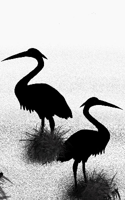 Estor opaco garzas