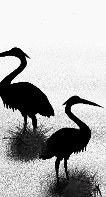 Estor opaco garzas