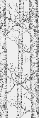 Estor enrollable de tela para bañador
