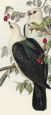 Estor enrollable de tela con diseño de pájaros en una rama