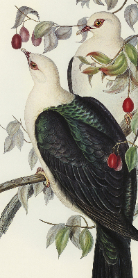 Estor enrollable de tela con diseño de pájaros en una rama