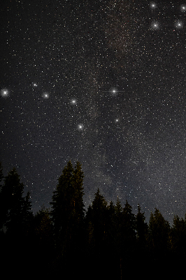 Estor decorativo estrellas en el cielo
