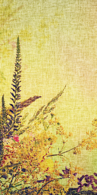 Estor enrollable de tela plantas