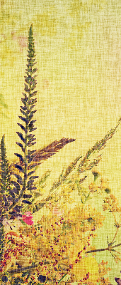 Estor enrollable de tela plantas