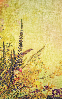 Estor enrollable de tela plantas