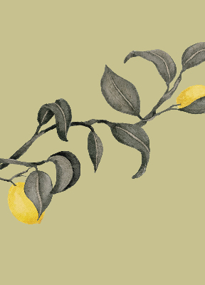 Estor opaco con diseño de limones en el árbol