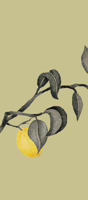 Estor opaco con diseño de limones en el árbol