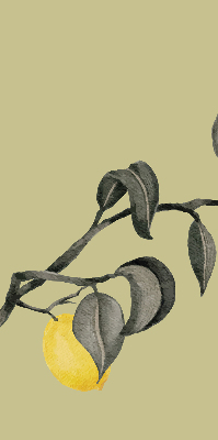 Estor opaco con diseño de limones en el árbol