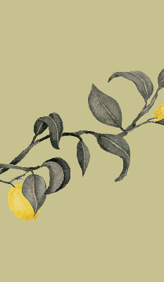 Estor opaco con diseño de limones en el árbol