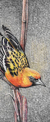 Estor opaco con diseño de un pájaro en una rama