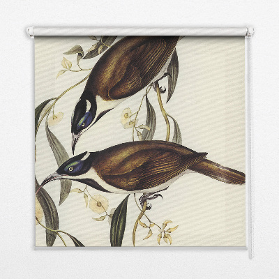 Estor decorativo con pájaros en un árbol