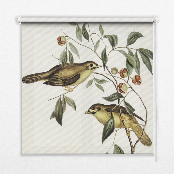 Estor opaco con diseño de pájaros en un árbol