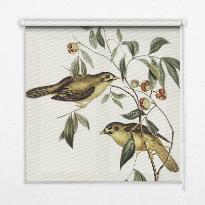 Estor opaco con diseño de pájaros en un árbol