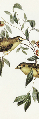 Estor opaco con diseño de pájaros en un árbol