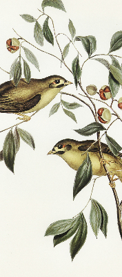 Estor opaco con diseño de pájaros en un árbol