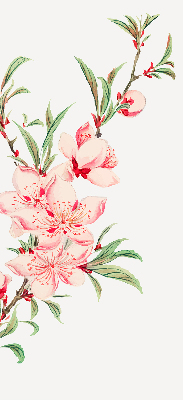 Estor decorativo en color rosa con estampado de flor