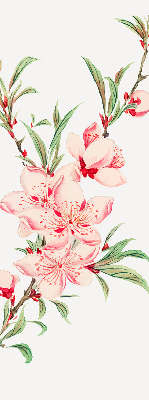 Estor decorativo en color rosa con estampado de flor