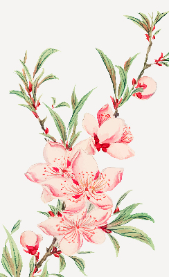 Estor decorativo en color rosa con estampado de flor