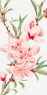 Estor decorativo en color rosa con estampado de flor