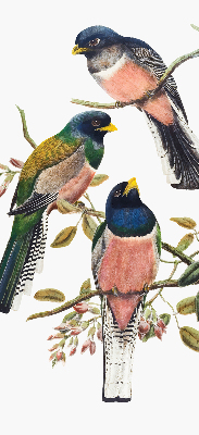 Estor enrollable de tela con diseño de pájaros en las ramas
