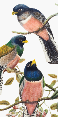 Estor enrollable de tela con diseño de pájaros en las ramas