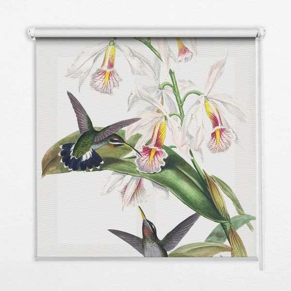 Estor opaco con diseño de pájaros en una flor