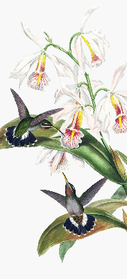 Estor opaco con diseño de pájaros en una flor